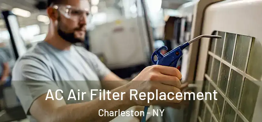  AC Air Filter Replacement Charleston - NY