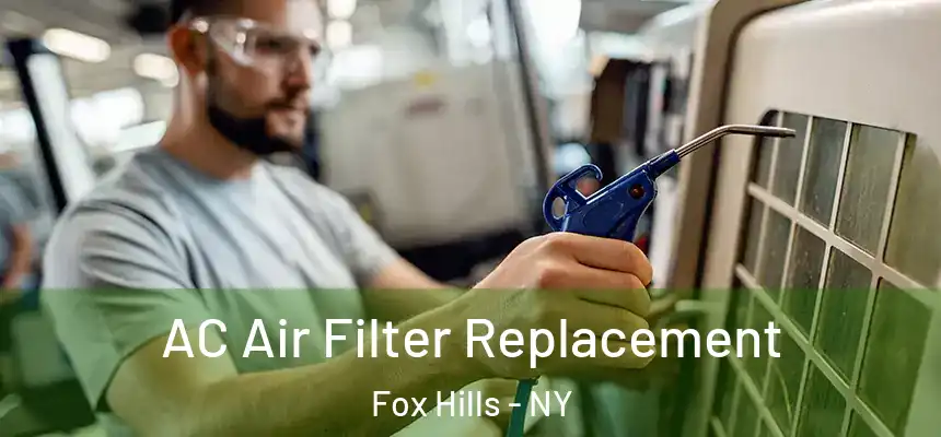  AC Air Filter Replacement Fox Hills - NY