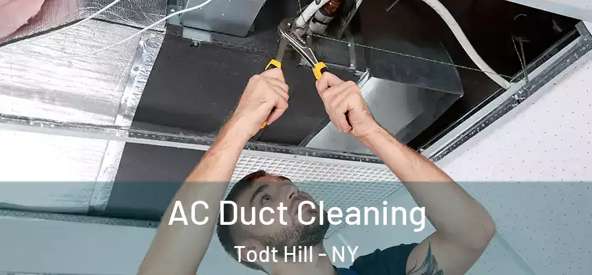  AC Duct Cleaning Todt Hill - NY