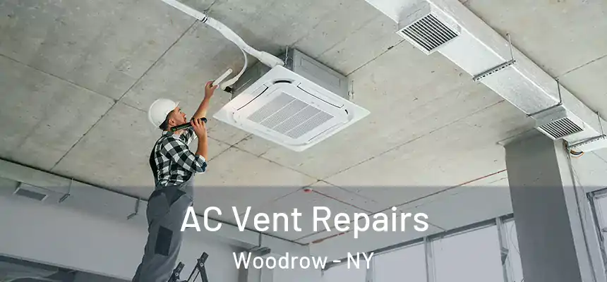  AC Vent Repairs Woodrow - NY