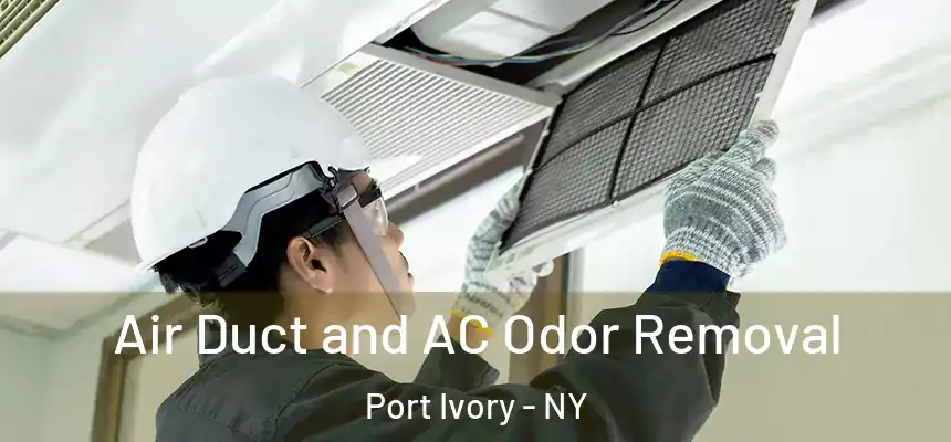 Air Duct and AC Odor Removal Port Ivory - NY