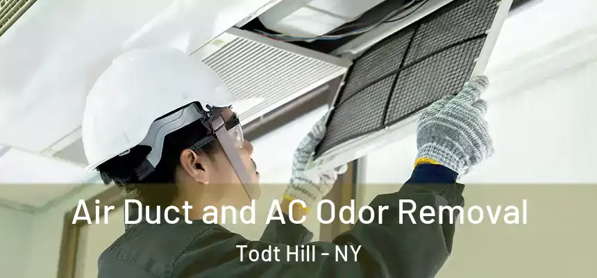 Air Duct and AC Odor Removal Todt Hill - NY