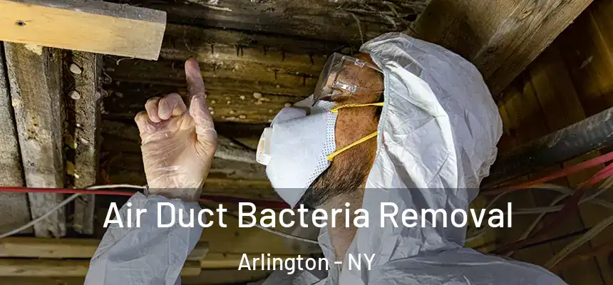  Air Duct Bacteria Removal Arlington - NY