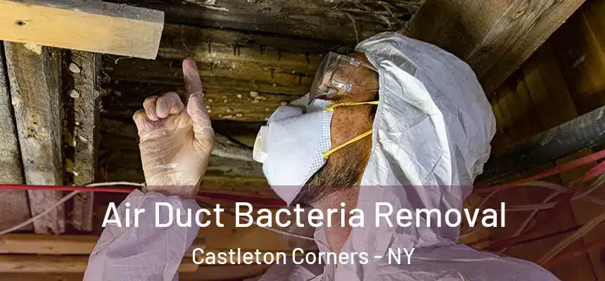 Air Duct Bacteria Removal Castleton Corners - NY