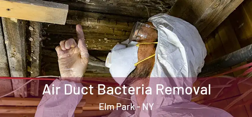 Air Duct Bacteria Removal Elm Park - NY
