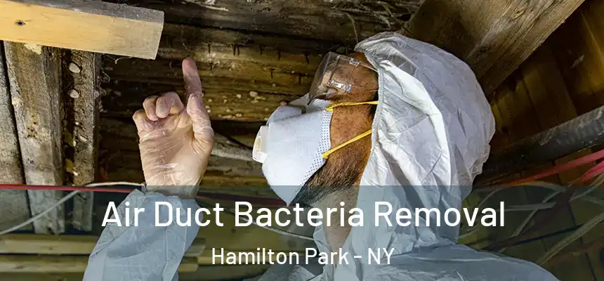  Air Duct Bacteria Removal Hamilton Park - NY