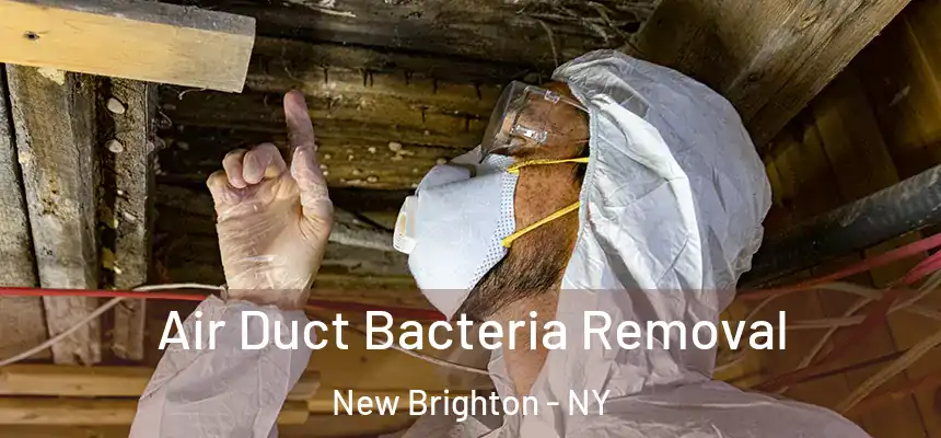 Air Duct Bacteria Removal New Brighton - NY