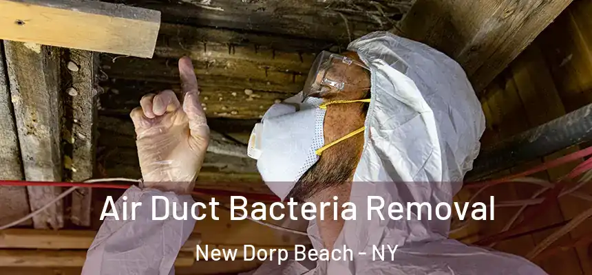 Air Duct Bacteria Removal New Dorp Beach - NY