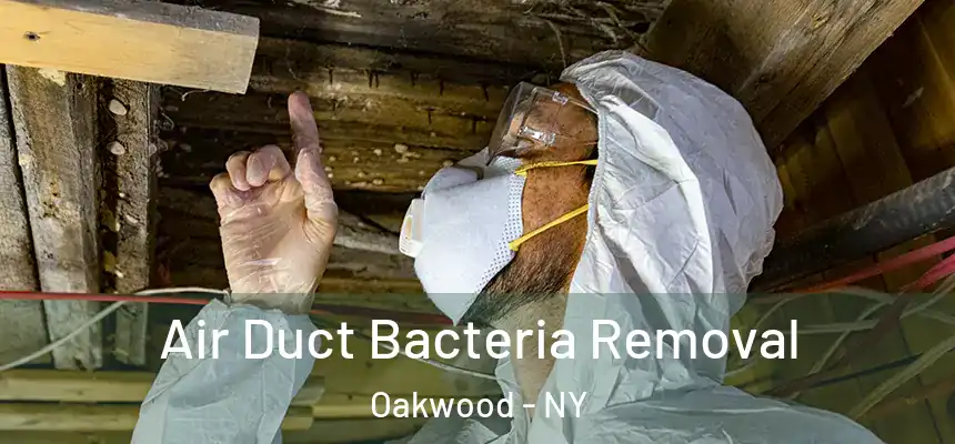  Air Duct Bacteria Removal Oakwood - NY