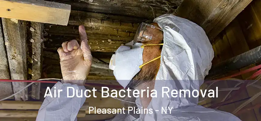 Air Duct Bacteria Removal Pleasant Plains - NY