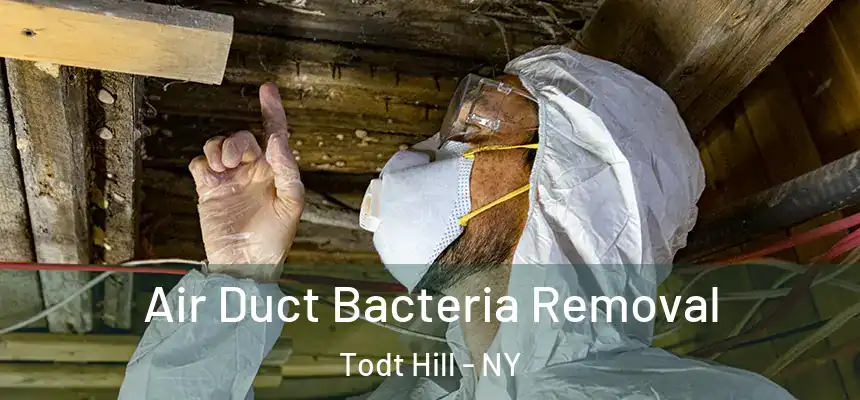  Air Duct Bacteria Removal Todt Hill - NY