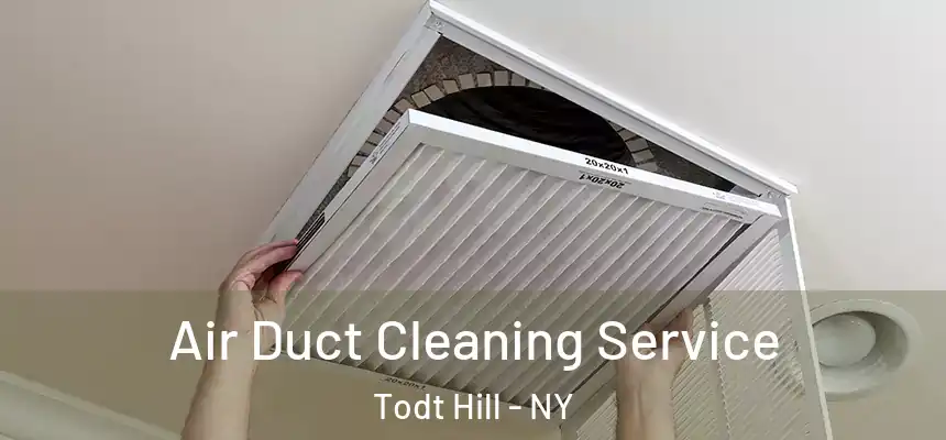Air Duct Cleaning Service Todt Hill - NY