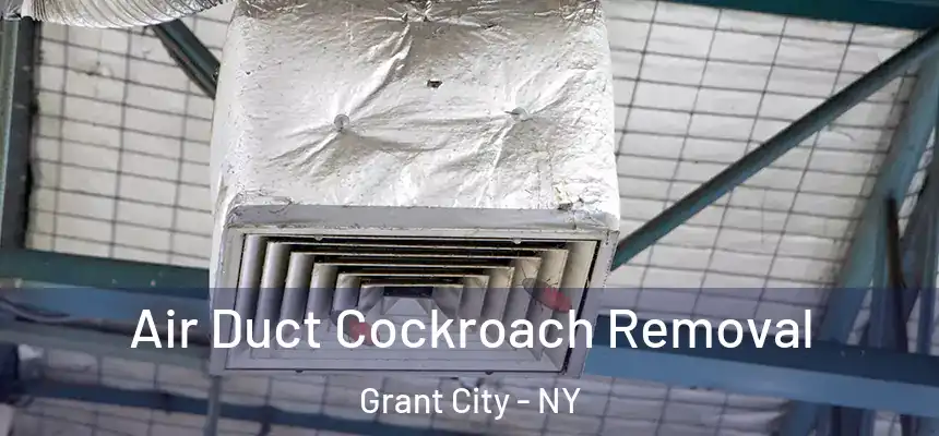  Air Duct Cockroach Removal Grant City - NY