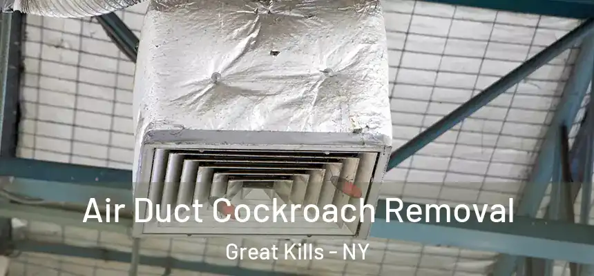 Air Duct Cockroach Removal Great Kills - NY