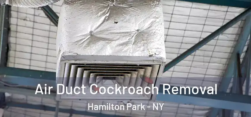  Air Duct Cockroach Removal Hamilton Park - NY