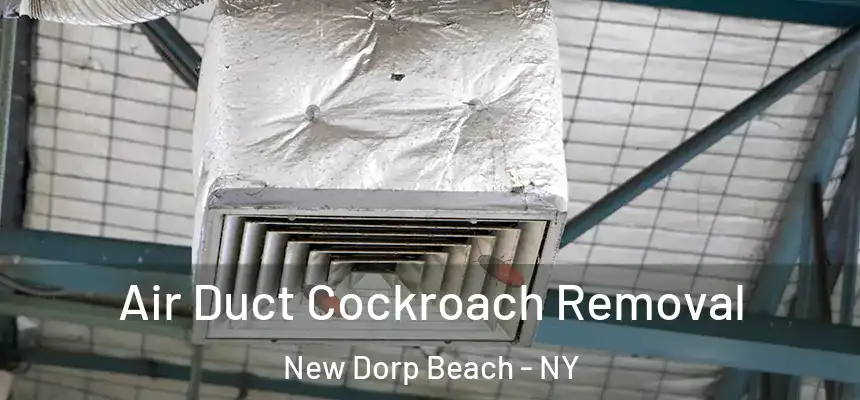 Air Duct Cockroach Removal New Dorp Beach - NY