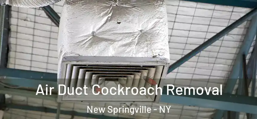 Air Duct Cockroach Removal New Springville - NY