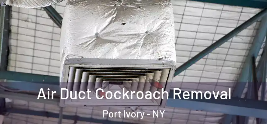 Air Duct Cockroach Removal Port Ivory - NY