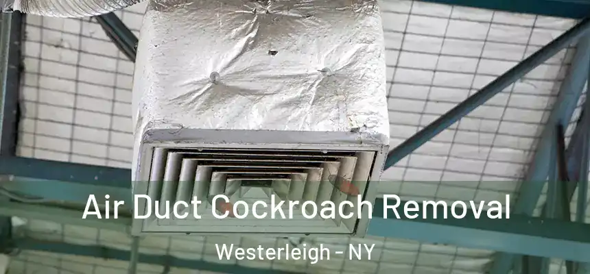  Air Duct Cockroach Removal Westerleigh - NY