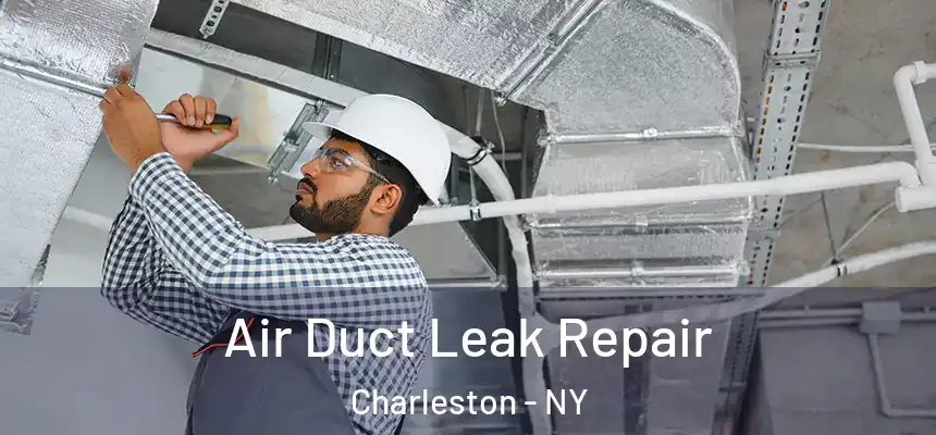  Air Duct Leak Repair Charleston - NY