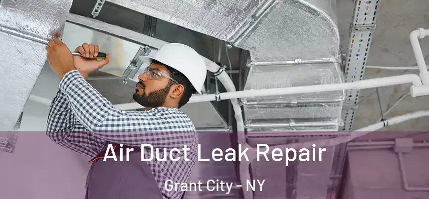  Air Duct Leak Repair Grant City - NY