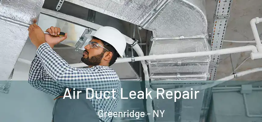  Air Duct Leak Repair Greenridge - NY