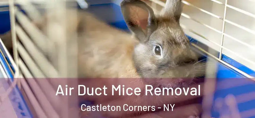 Air Duct Mice Removal Castleton Corners - NY