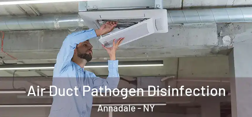 Air Duct Pathogen Disinfection Annadale - NY