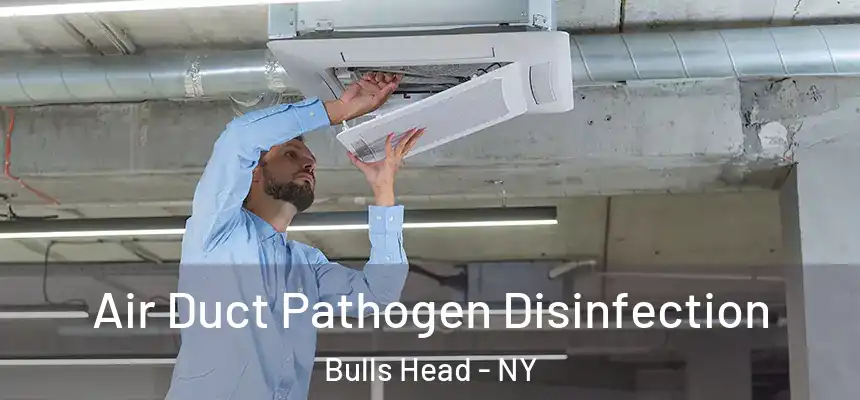 Air Duct Pathogen Disinfection Bulls Head - NY