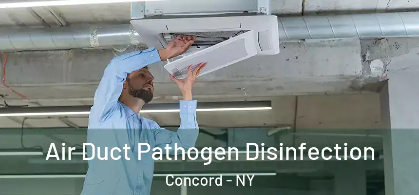 Air Duct Pathogen Disinfection Concord - NY