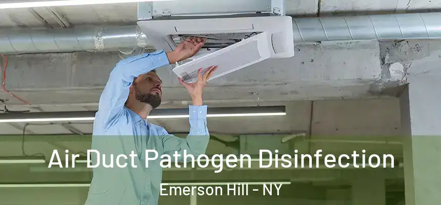 Air Duct Pathogen Disinfection Emerson Hill - NY