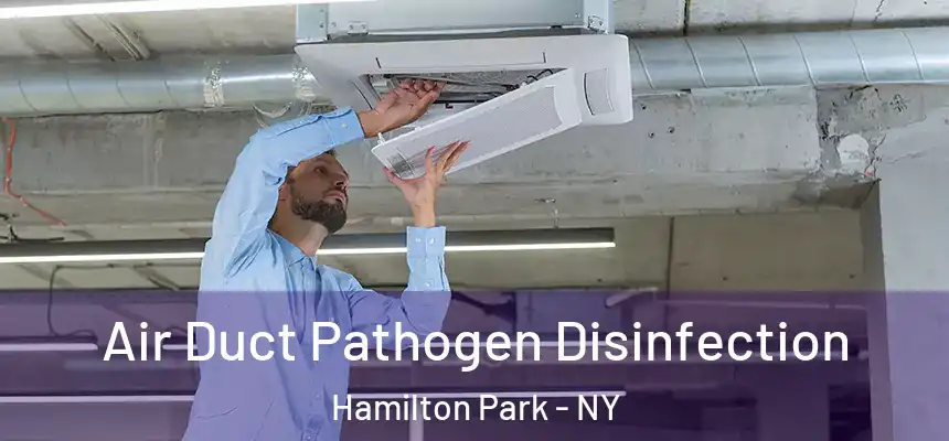 Air Duct Pathogen Disinfection Hamilton Park - NY