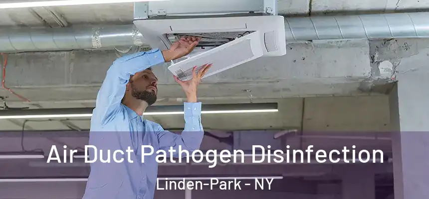  Air Duct Pathogen Disinfection Linden-Park - NY