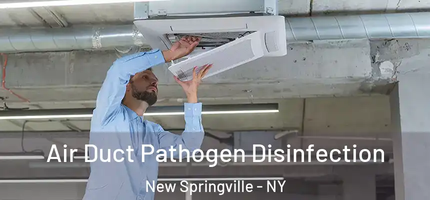 Air Duct Pathogen Disinfection New Springville - NY