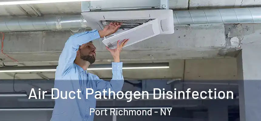  Air Duct Pathogen Disinfection Port Richmond - NY