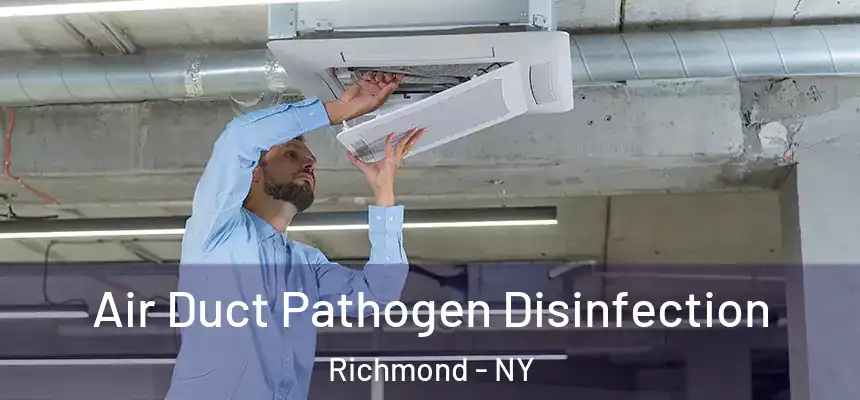  Air Duct Pathogen Disinfection Richmond - NY
