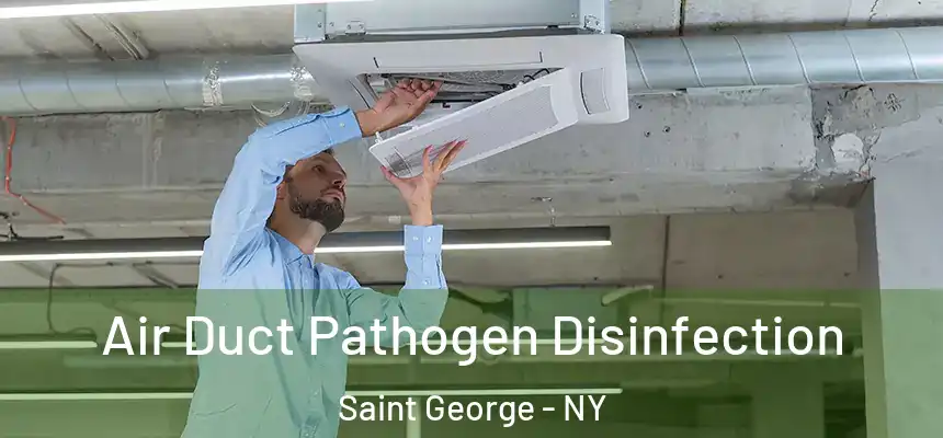 Air Duct Pathogen Disinfection Saint George - NY