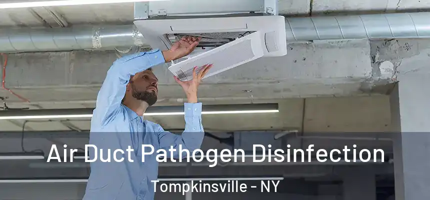  Air Duct Pathogen Disinfection Tompkinsville - NY