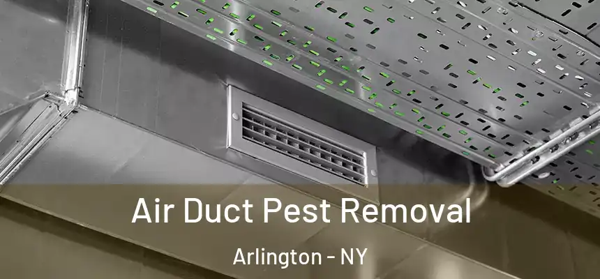Air Duct Pest Removal Arlington - NY