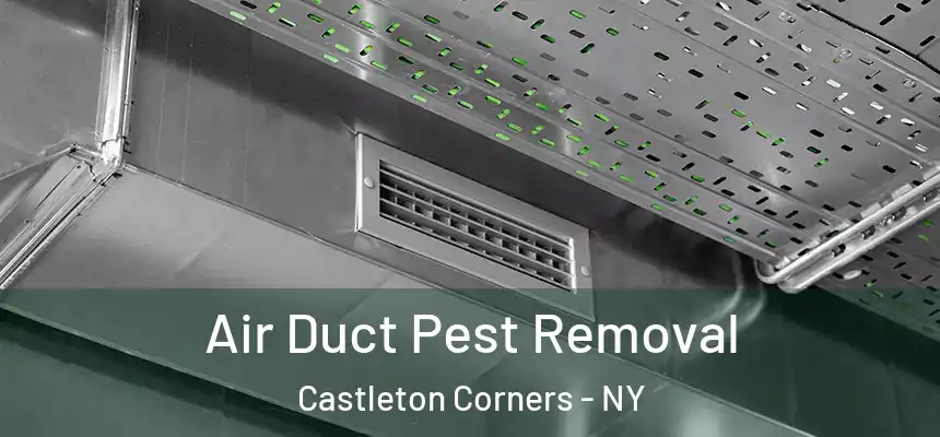 Air Duct Pest Removal Castleton Corners - NY