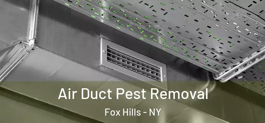  Air Duct Pest Removal Fox Hills - NY