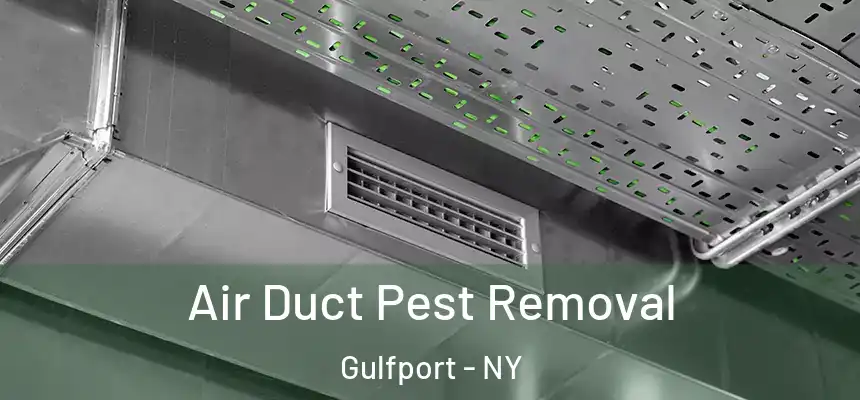  Air Duct Pest Removal Gulfport - NY