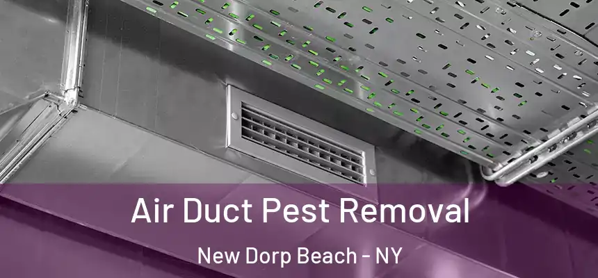 Air Duct Pest Removal New Dorp Beach - NY