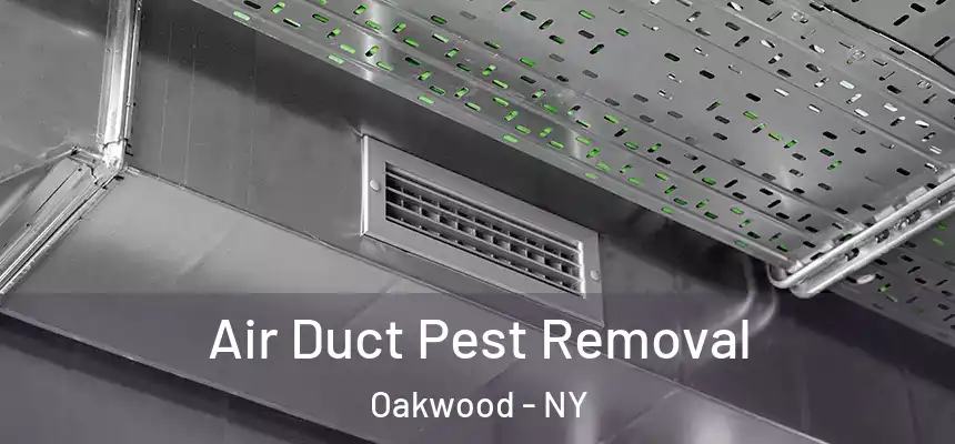 Air Duct Pest Removal Oakwood - NY