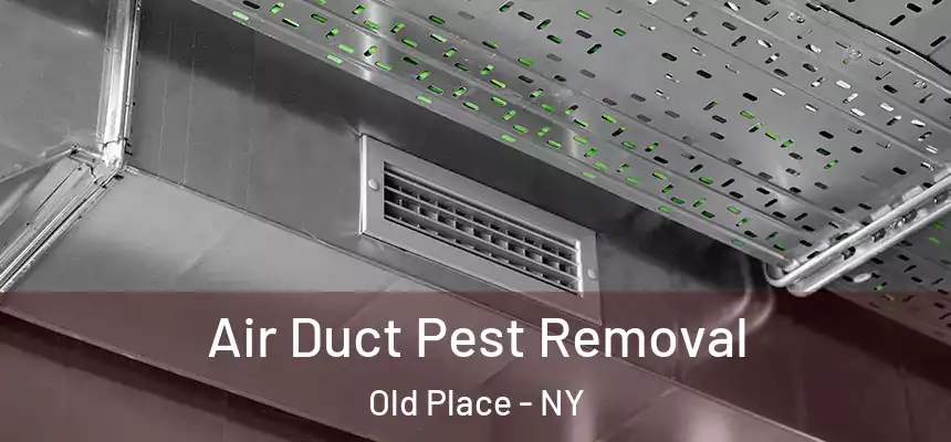 Air Duct Pest Removal Old Place - NY