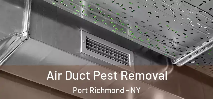 Air Duct Pest Removal Port Richmond - NY