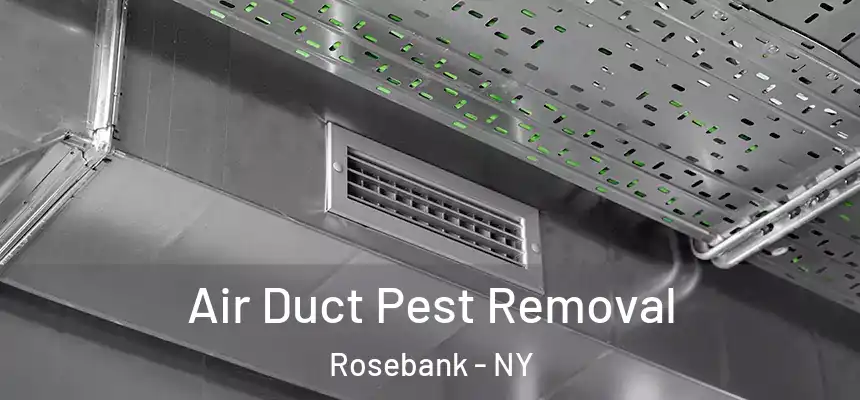 Air Duct Pest Removal Rosebank - NY