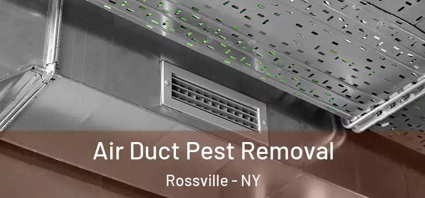  Air Duct Pest Removal Rossville - NY