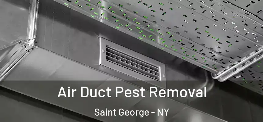 Air Duct Pest Removal Saint George - NY