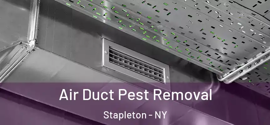  Air Duct Pest Removal Stapleton - NY